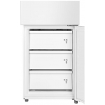 Toshiba 東芝 GR-RM352WI-PMA(53) 233L 變頻三門雪櫃 (一級能源標籤)